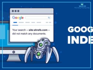 Google index là gì