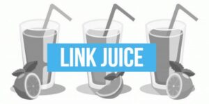 Link Juice là gì?